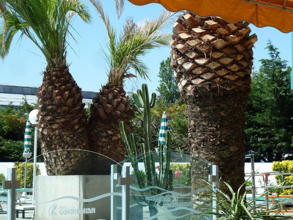 Hotel Cormoran Riccione Exteriör bild